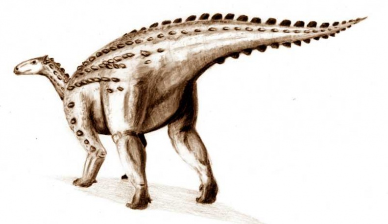 33170. Ornithischia (Vogelbeckendinosaurier)_11.jpg